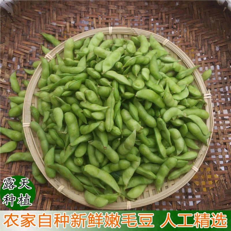 毛豆新鲜带壳青豆子疏菜嫩豆荚青豆安徽农家时令新鲜蔬菜现摘现发