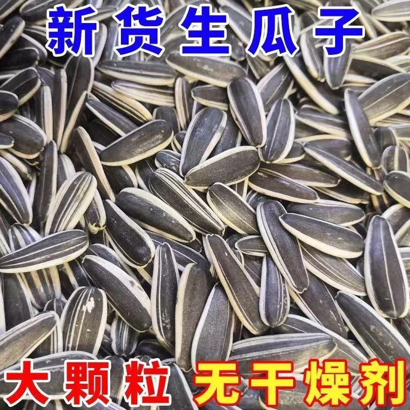 今年新瓜子新货生瓜子大颗粒瓜子内蒙新鲜葵花籽批发