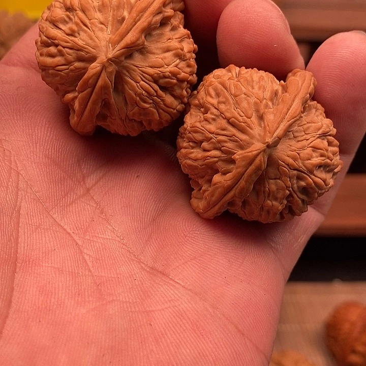 核桃手串/手链李****7白狮子