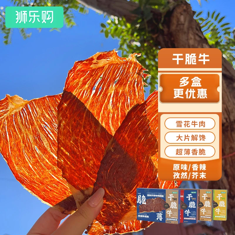 【直播间专属】狮乐购干脆牛脆脆内蒙古风干牛肉脆片健康零食牛排