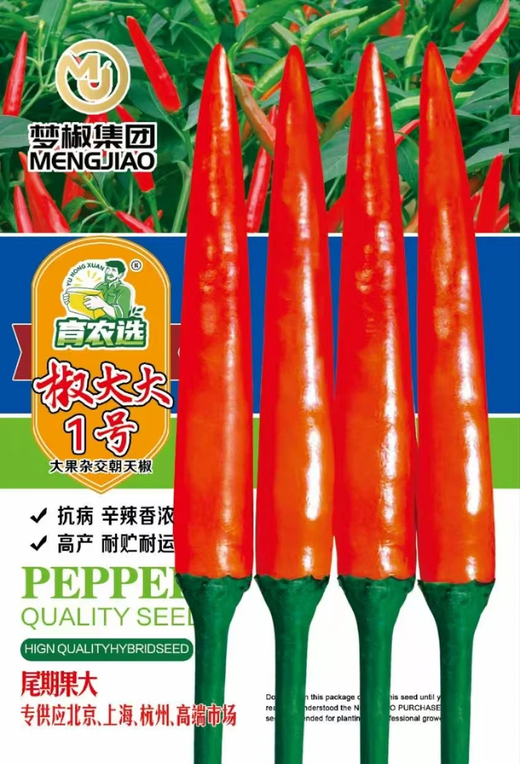 最新改良品种椒大大1号（尾果大）