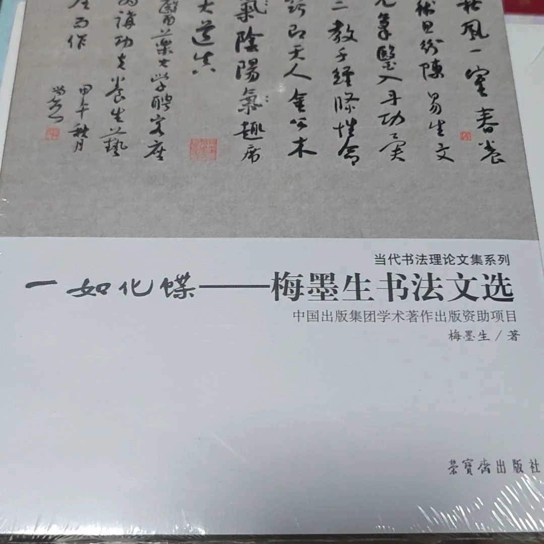一如化蝶平装库存书库存书