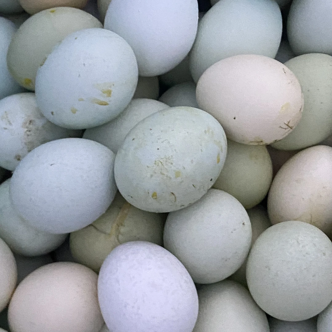 有点脏的，麻皮，卖相差的新鲜土鸡蛋