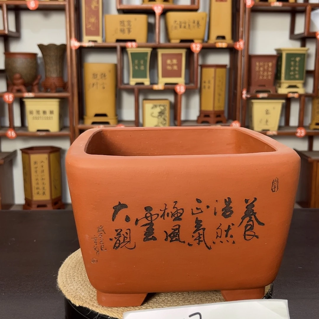 紫砂花盆紫砂花盆