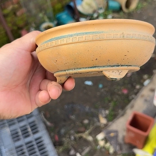 一定很喜欢的样子吧感觉都非常有魅力我会支持