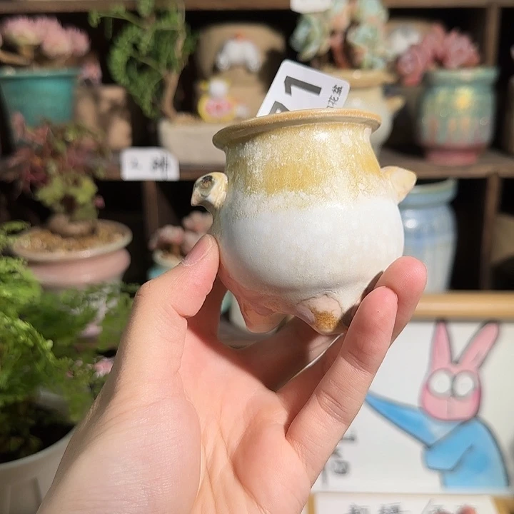 771 口4 瑕疵特惠 非偏远两单包邮