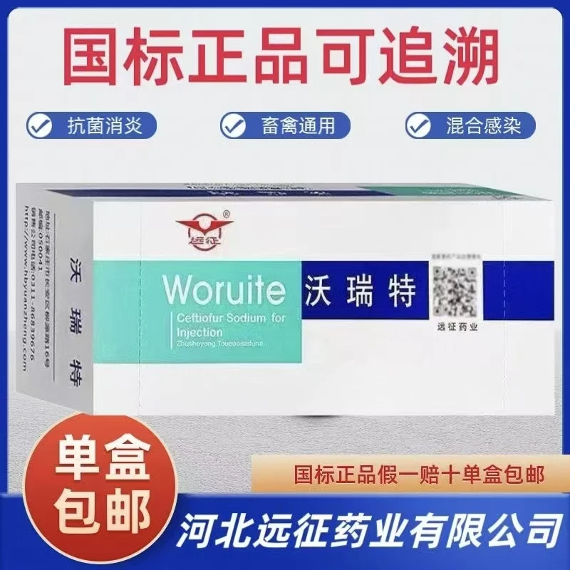 远征—1g沃瑞特（国标）