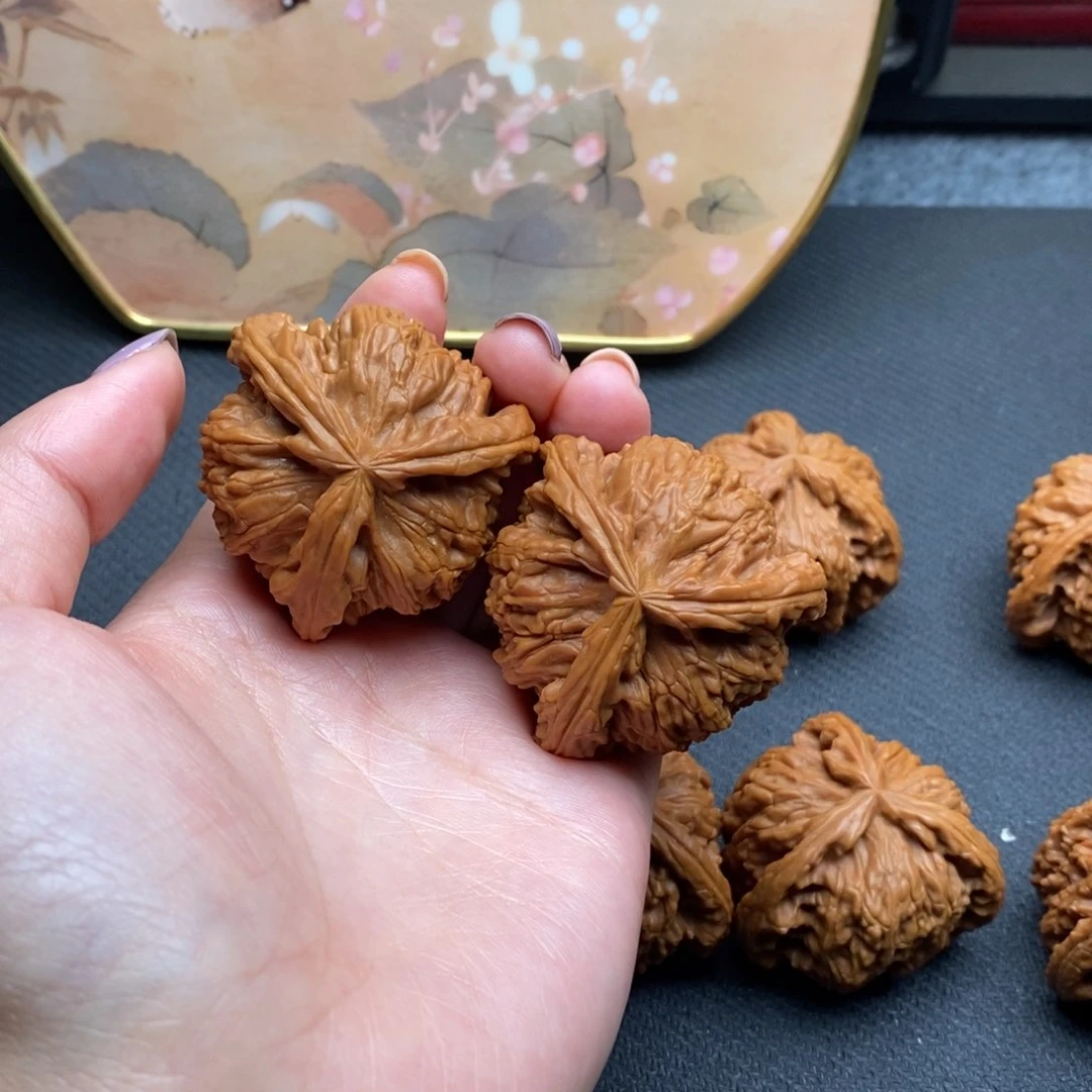 ?白狮子11111111111