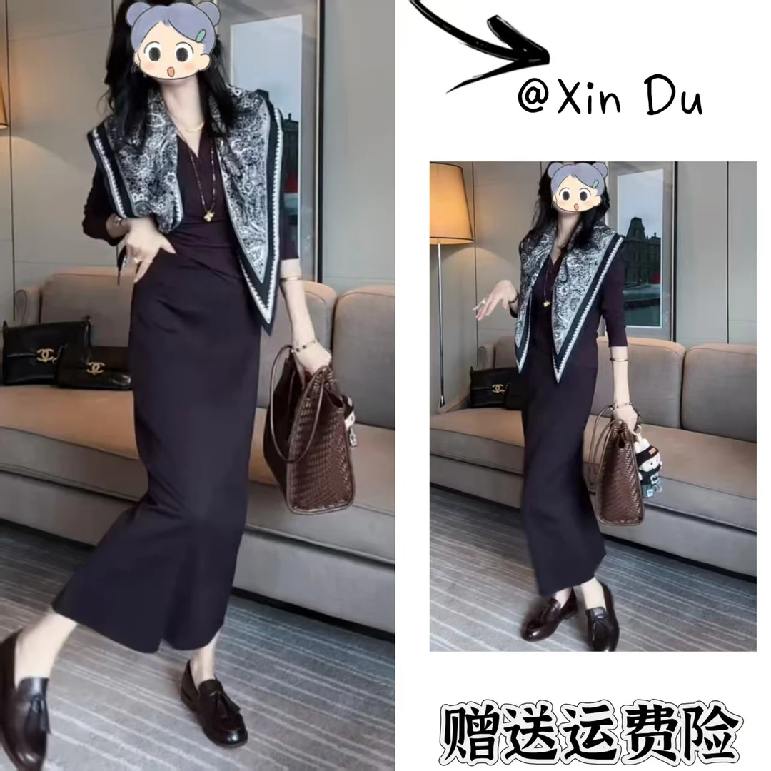 2025秋季新款时尚显瘦气质女士网红洋气两件套百搭款D22218