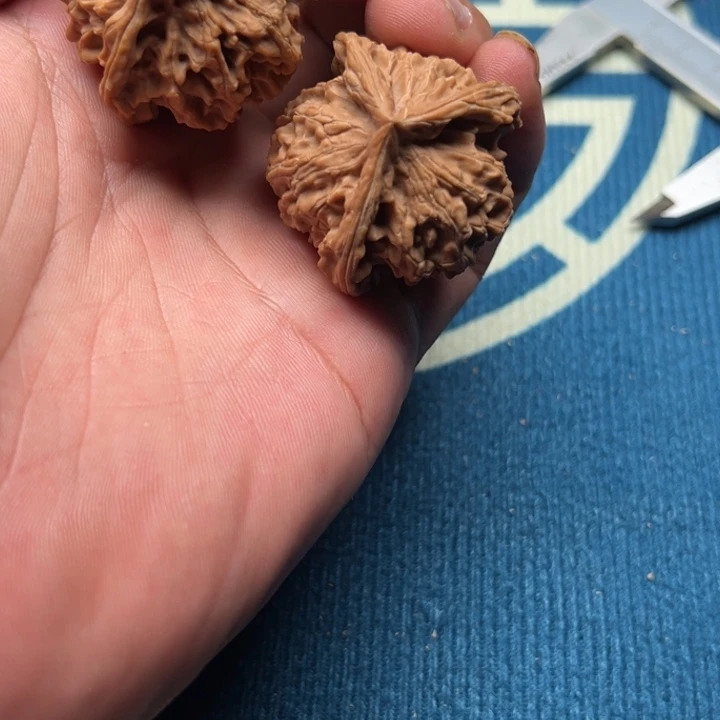 核桃文玩核桃三棱40