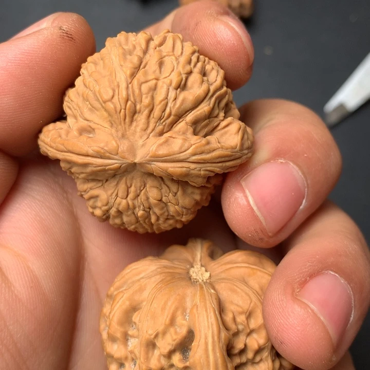 把件文玩核桃40白狮子6
