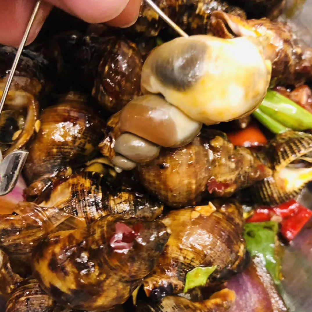 麻辣牛鼻子螺 美味小海鲜 顺丰发货后不支持退款拒收