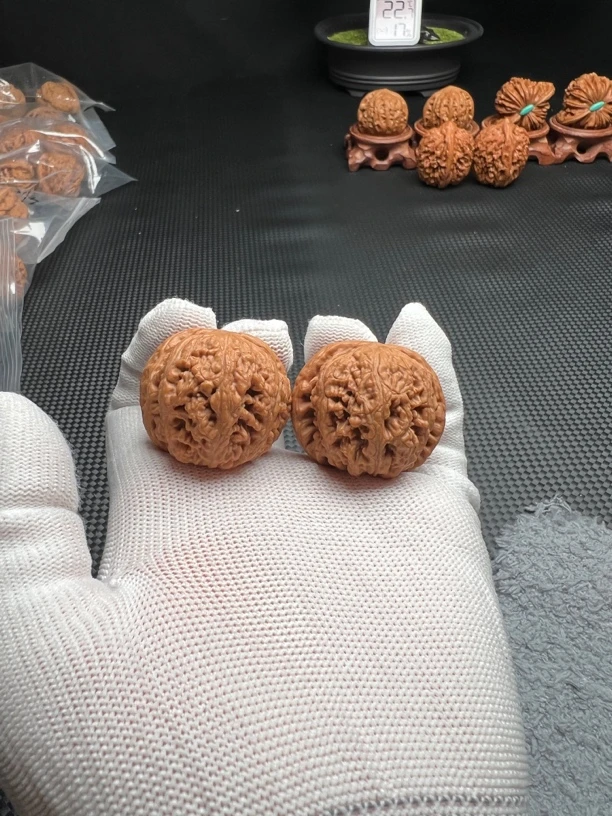 大粗筋36尺核桃，，