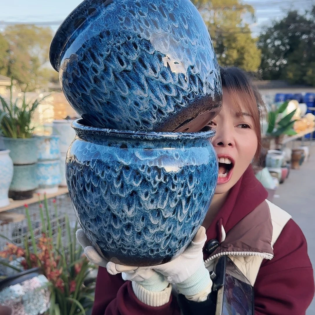 王嫂花盆直播1126-338高20口20