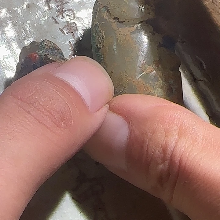 用****254244555544545