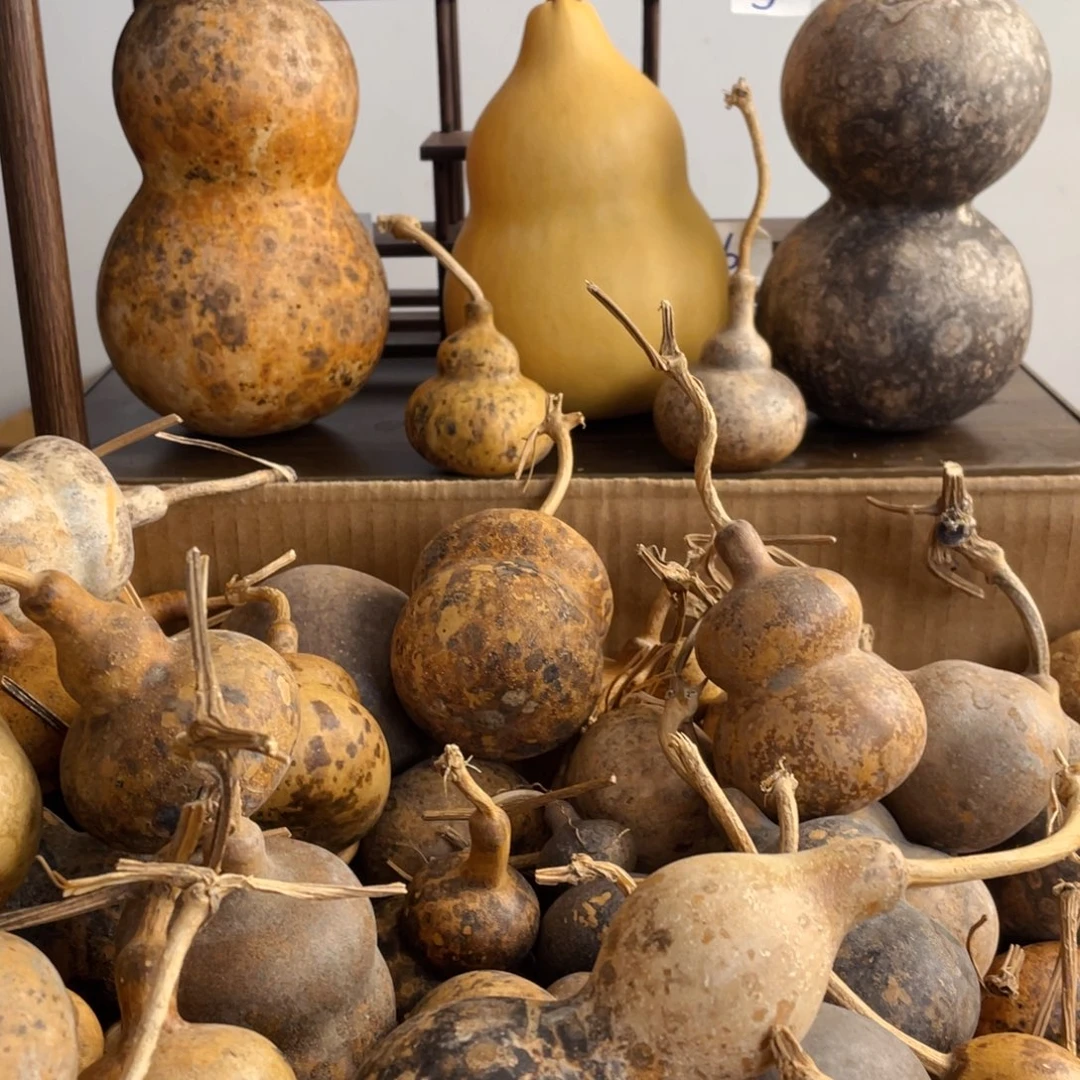 香榧木舟*花葫芦葫芦