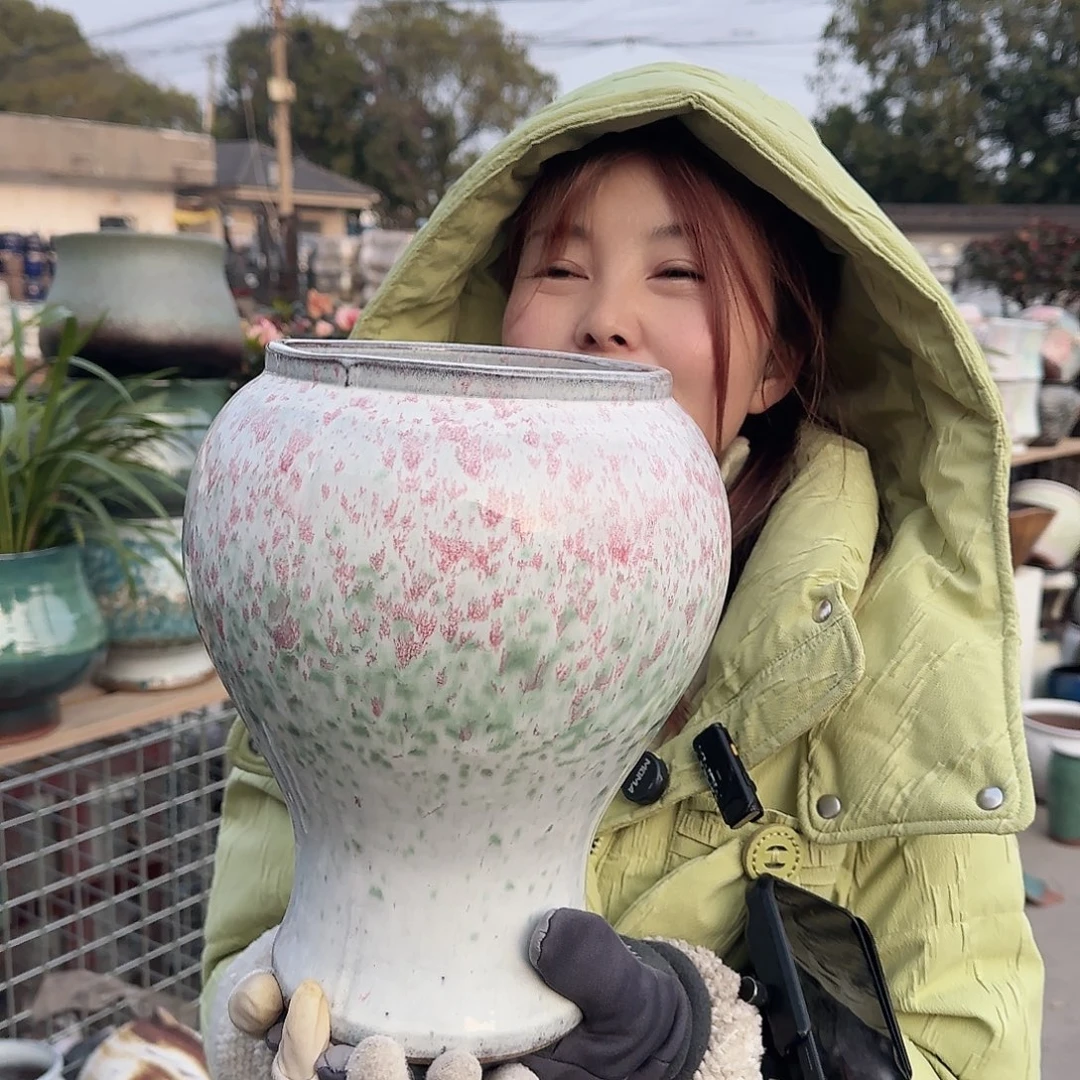 王嫂花盆直播1203-338高26口16