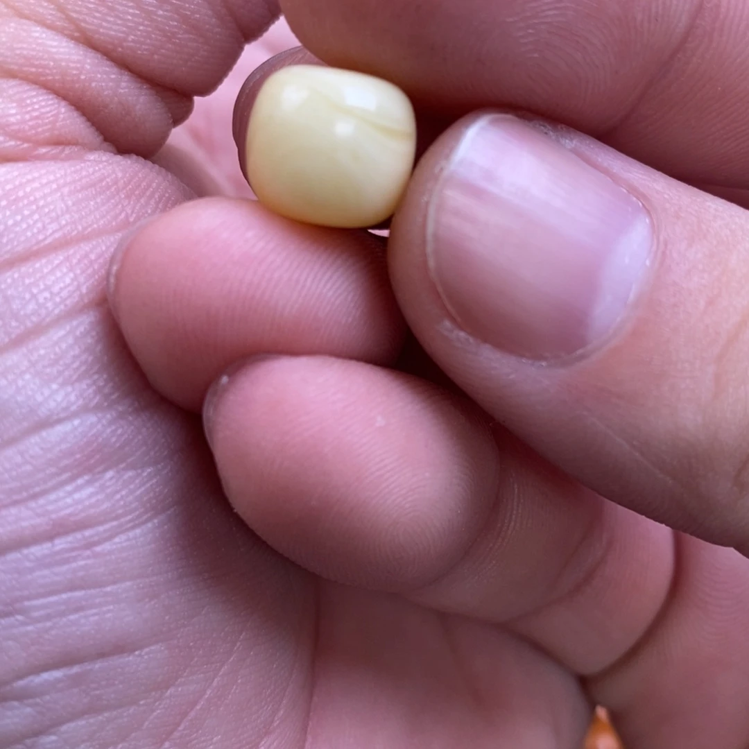 蜜蜡裸石未镶嵌顺**然