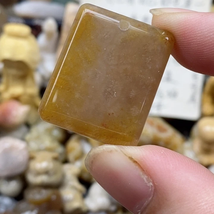 颈饰未镶嵌硅化珊瑚（珊瑚玉）小