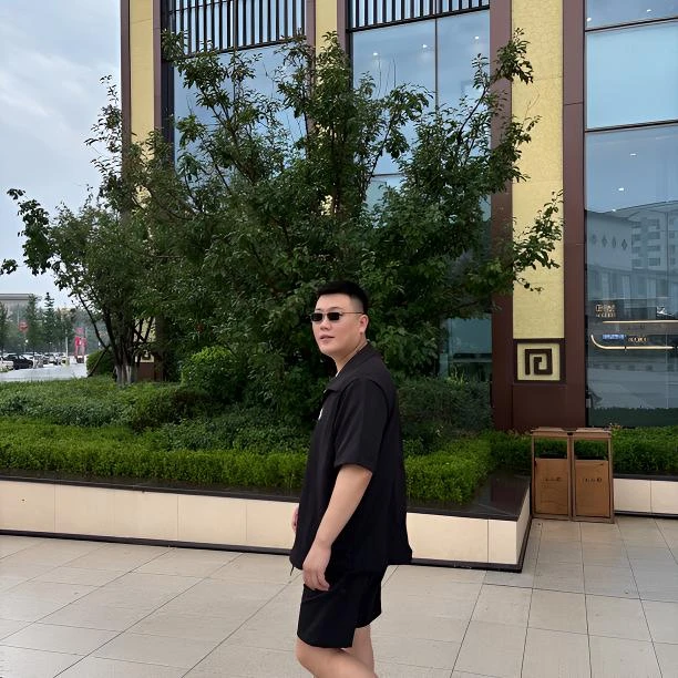 两件套装立领休闲运动套装经典运动轻奢刺绣短袖常规款百搭