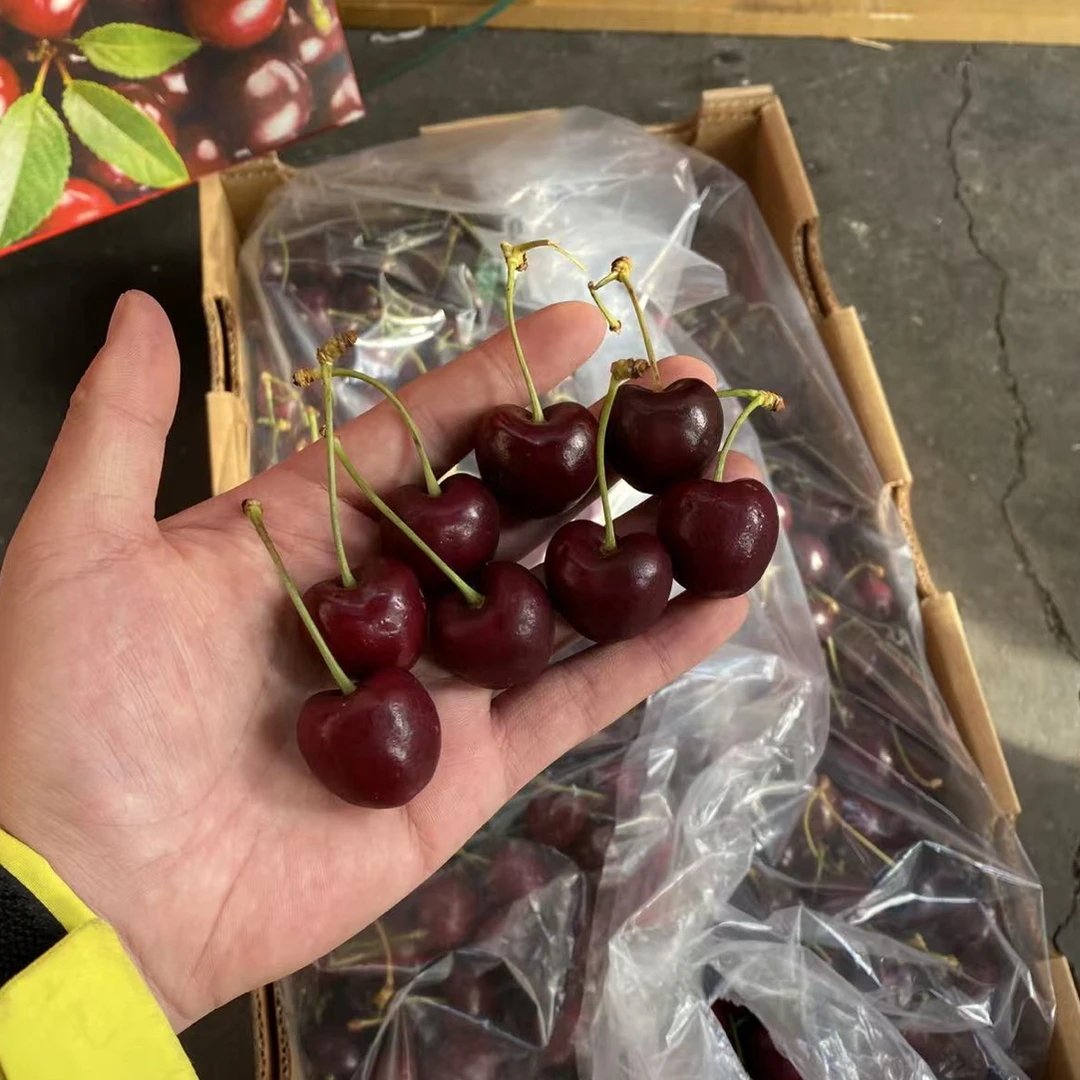 海运智利车厘子XLD5000g小果智利