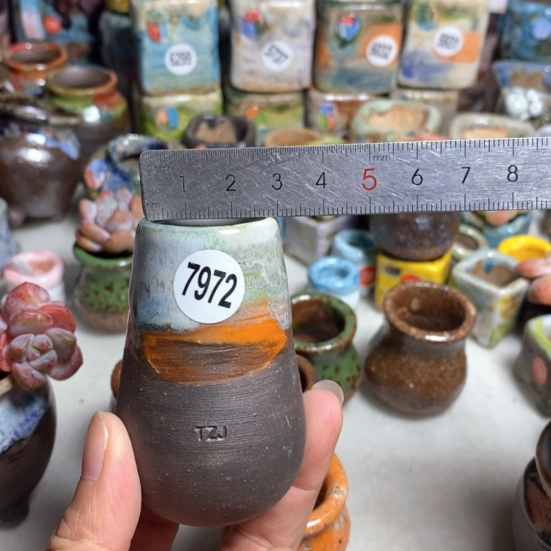 拍5送一个小礼物