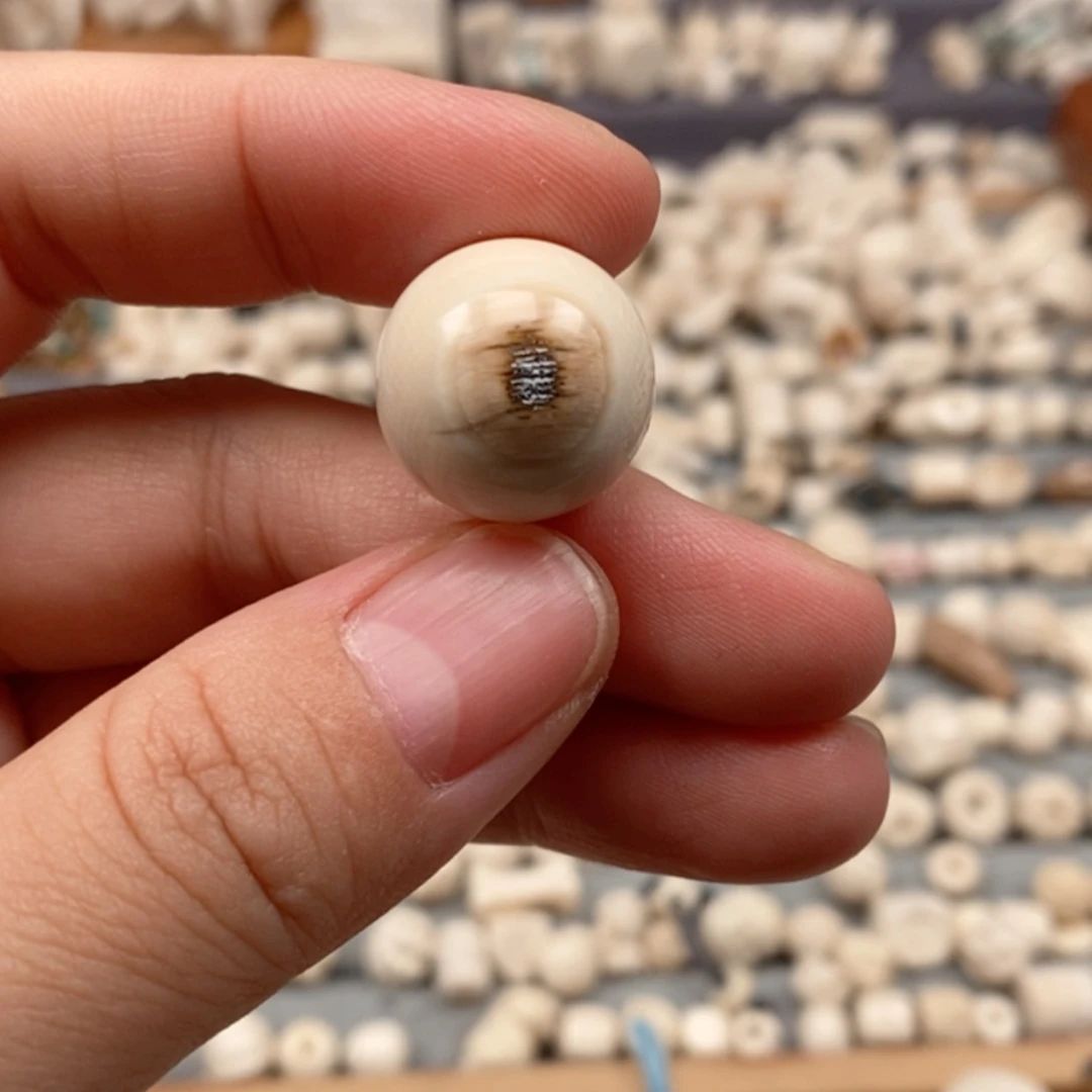 【闪购商品】无非金属猛犸牙1.7