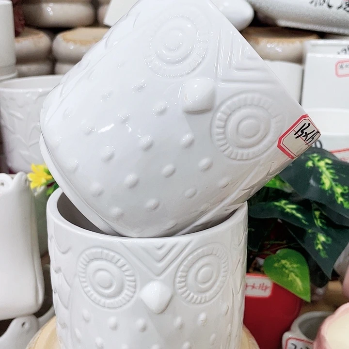 花盆花盆花盆花盆花盆花盆花盆