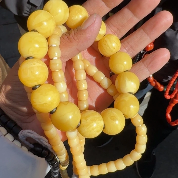 金刚菩提吊坠勿****1菩提树等树木的生长