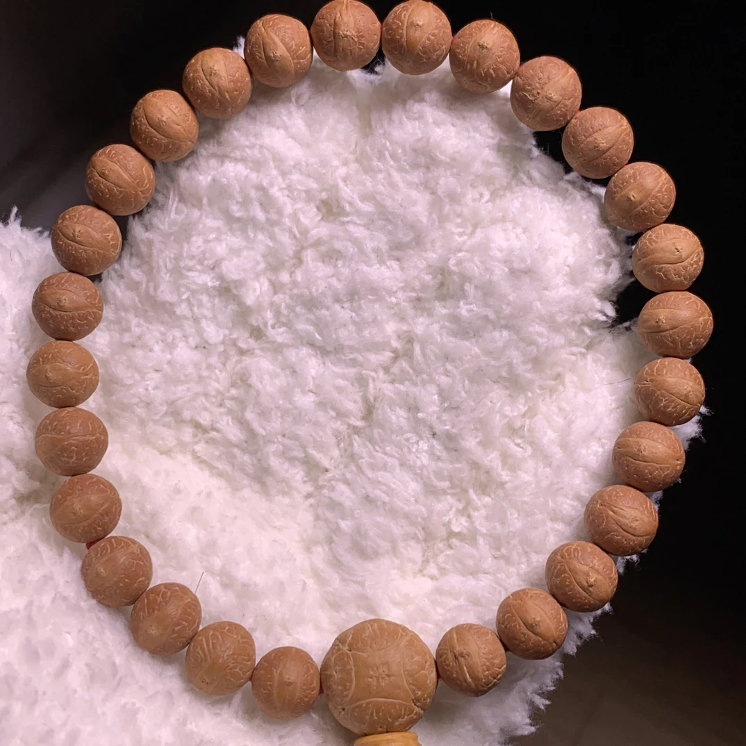 10.6mm ～10.9mm毕业级尼泊尔凤眼菩提，正圆籽，红皮油籽，一物一图