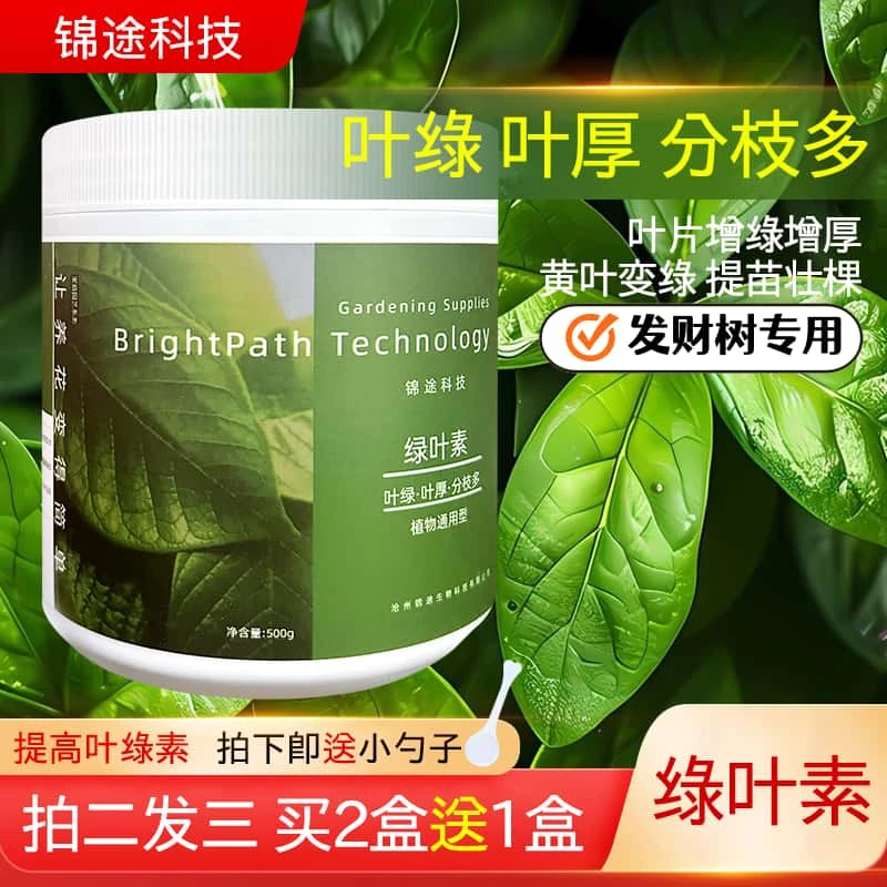 【发财树专用】家庭园艺发财树专用绿叶素500g大包装一瓶用两年