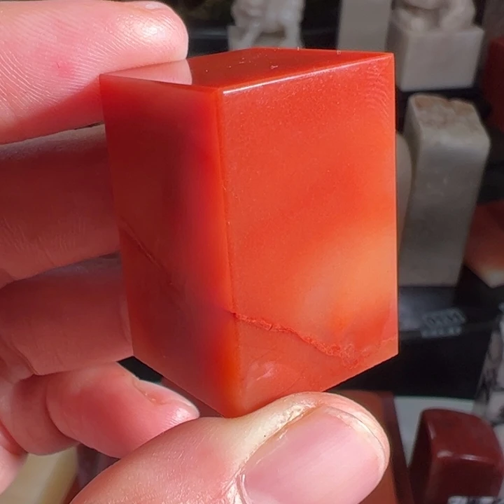 老挝石蜡烛红芙蓉