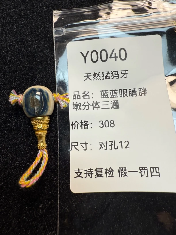 Y0040天然猛犸牙蓝皮蓝眼睛925胖墩分体三通