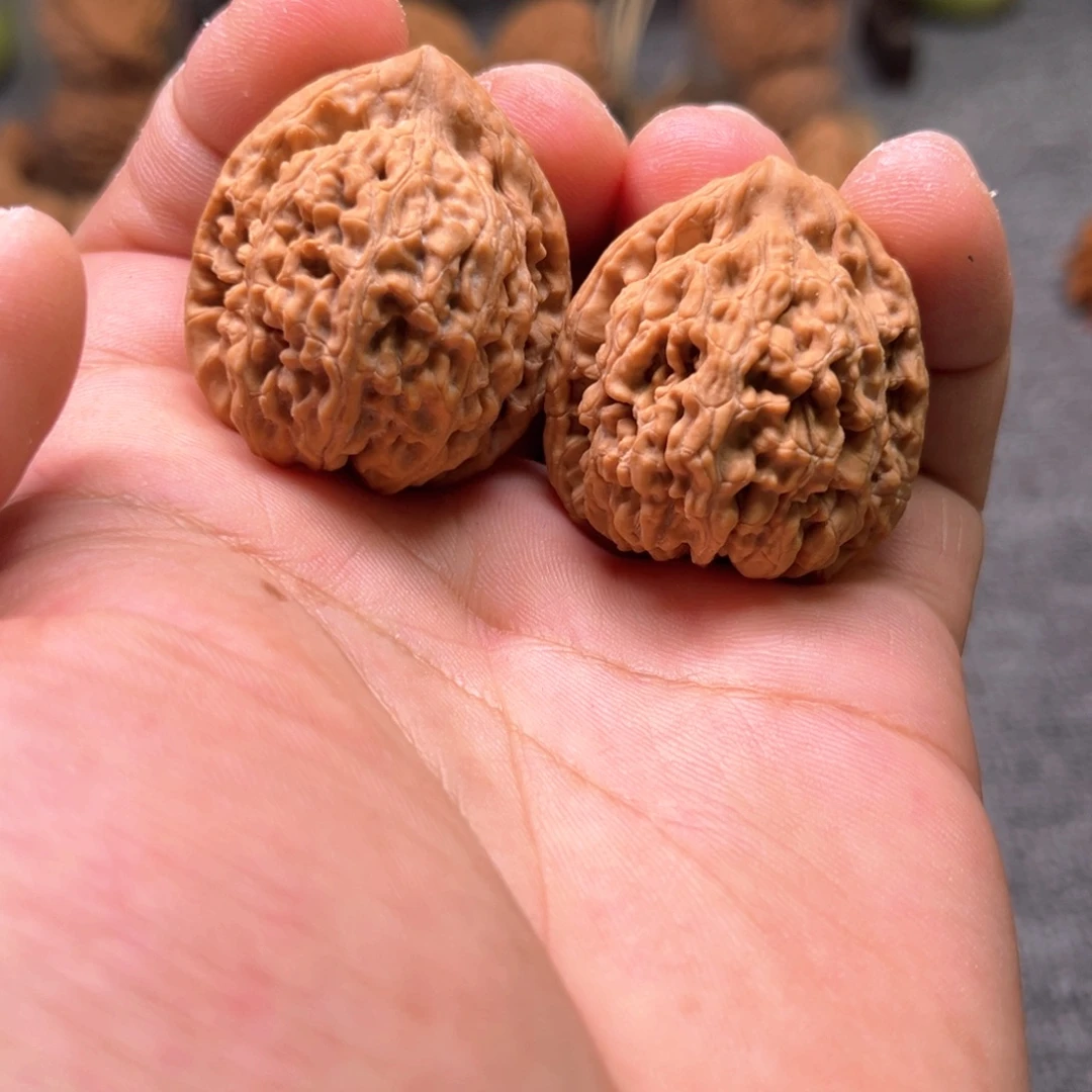 把件文玩核桃小众蚂蚁王全品