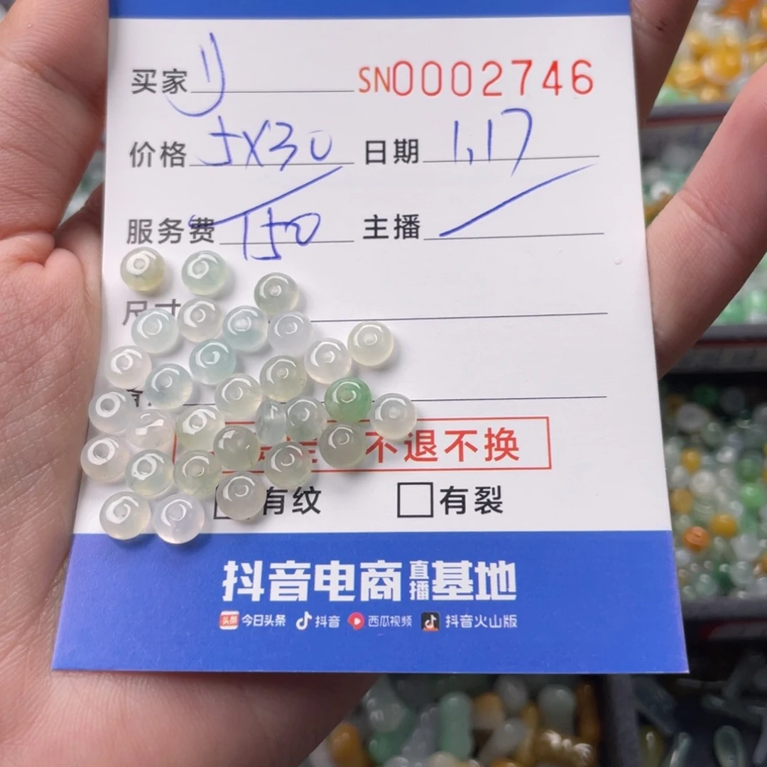 翡翠颈饰未镶嵌-*27460000