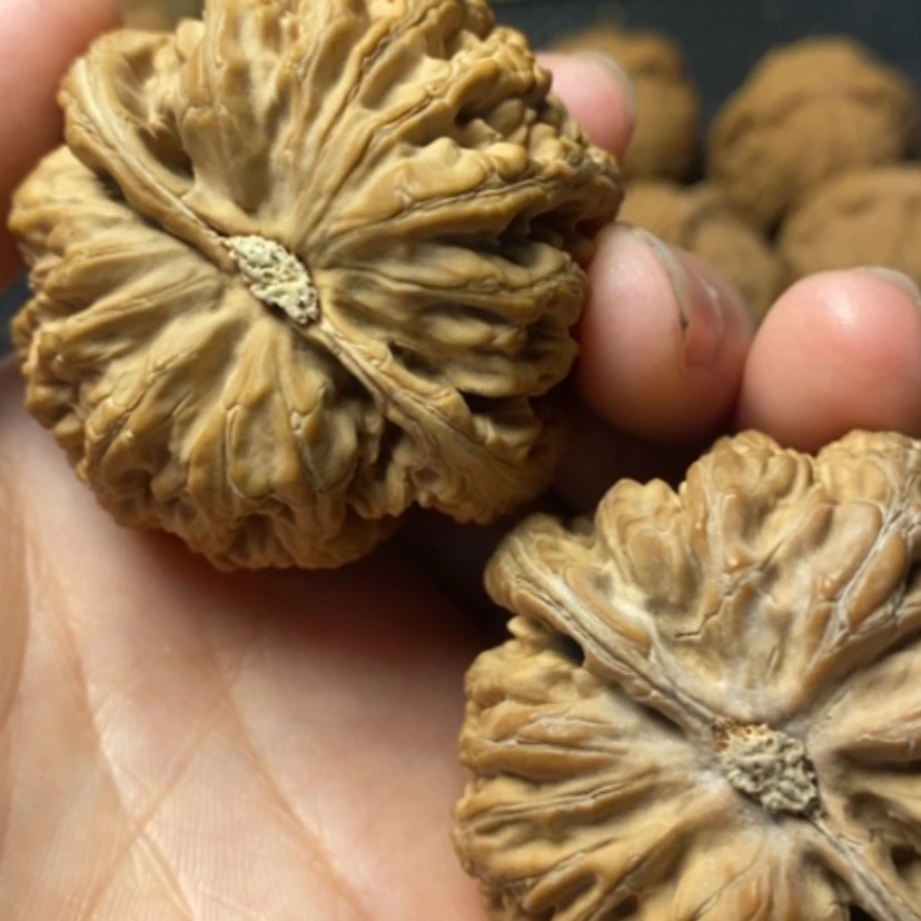 【闪购商品】文玩核桃吊坠火**民粗筋
