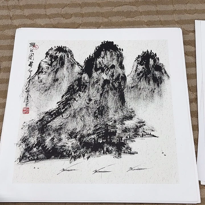 国画风*来花鸟的羽毛和蝴蝶是50.50