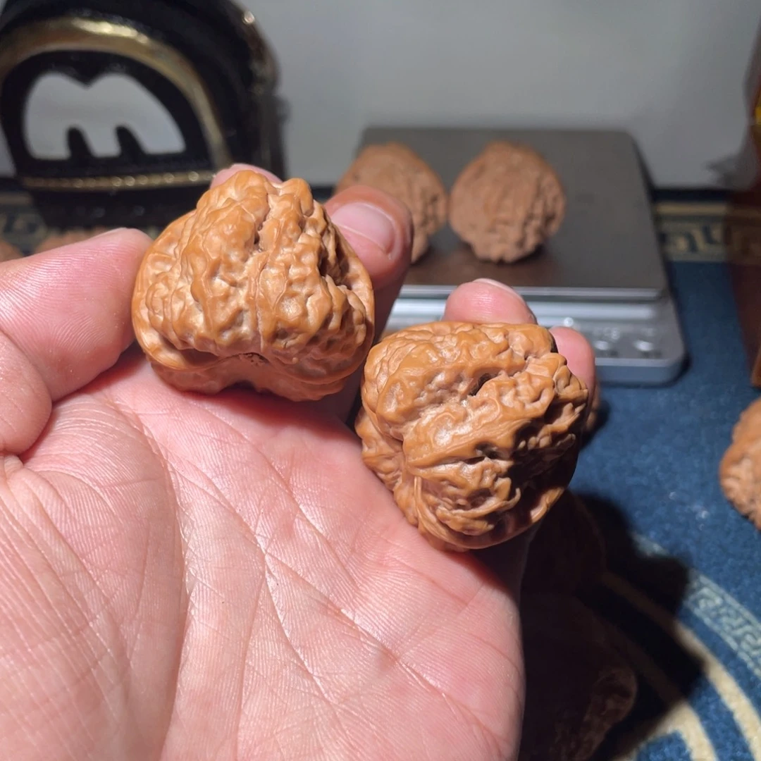 核桃手串/手链蛤蟆头38