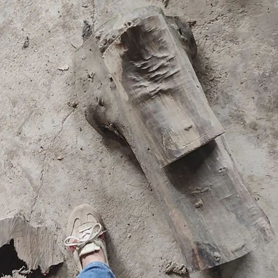 七***➽小叶桢楠金丝楠木