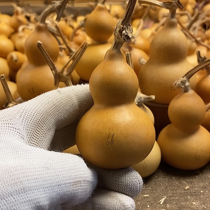 文玩葫芦 完美主义者 慎拍66