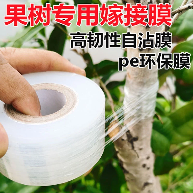 果树嫁接专用小卷PE缠绕膜农用无需打结自粘式树苗嫁接包扎缠绕膜