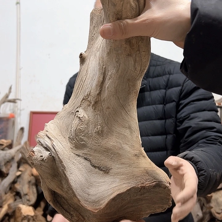 柏木古**香我们的生活也是如此