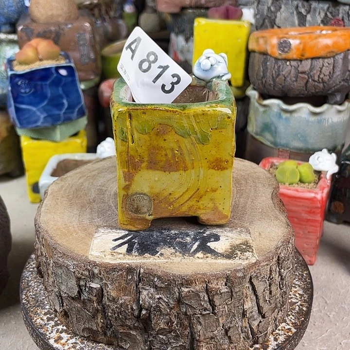 开播福利 陶瓷花盆 默认微次