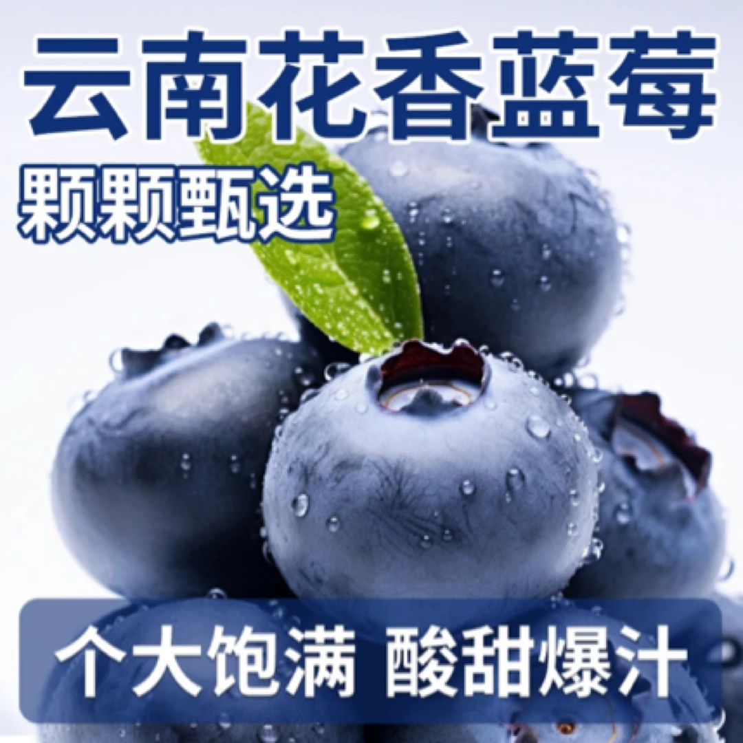 14盒 头茬超甜花香蓝莓 当天现摘现发15mm左右 100g/盒 顺丰发货