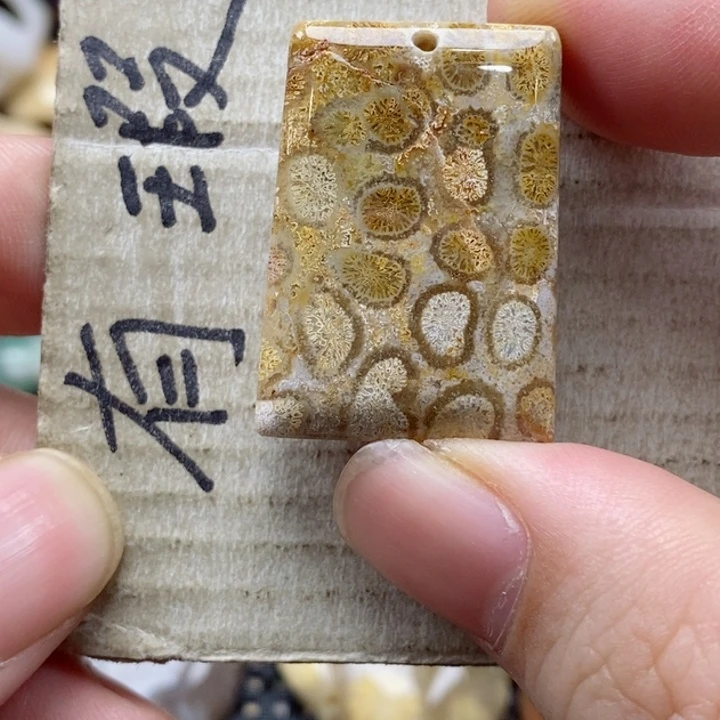 硅化珊瑚（珊瑚玉）颈饰未镶嵌秀*