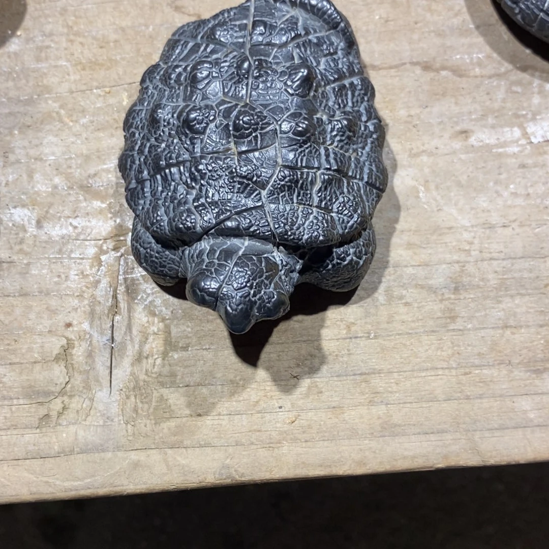 有机玻璃湖南郴州天然龟纹石