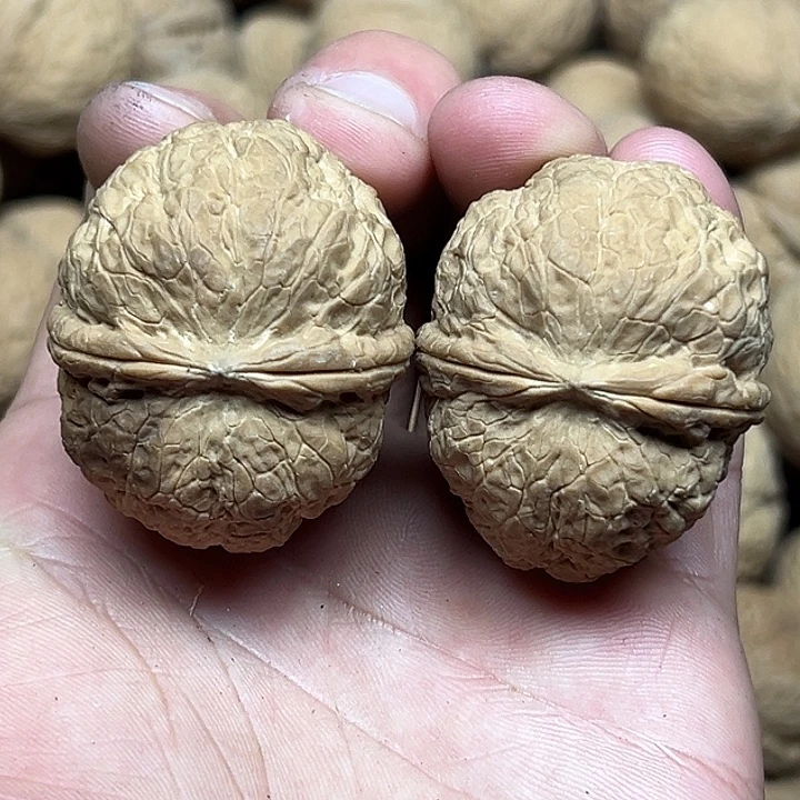 把件文玩核桃19号大头元宝43尺