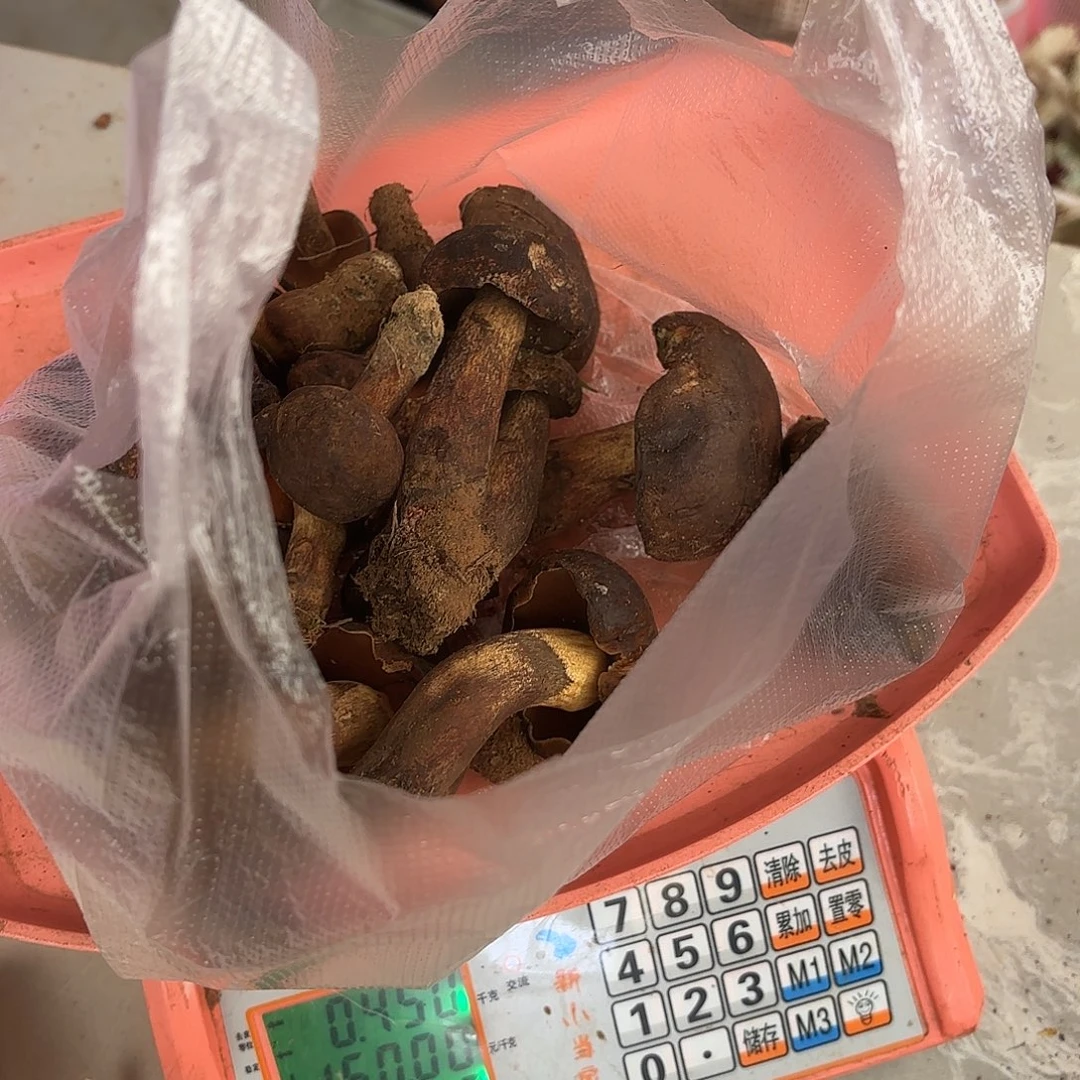 向****云南小表妹野生菌代购中国大陆