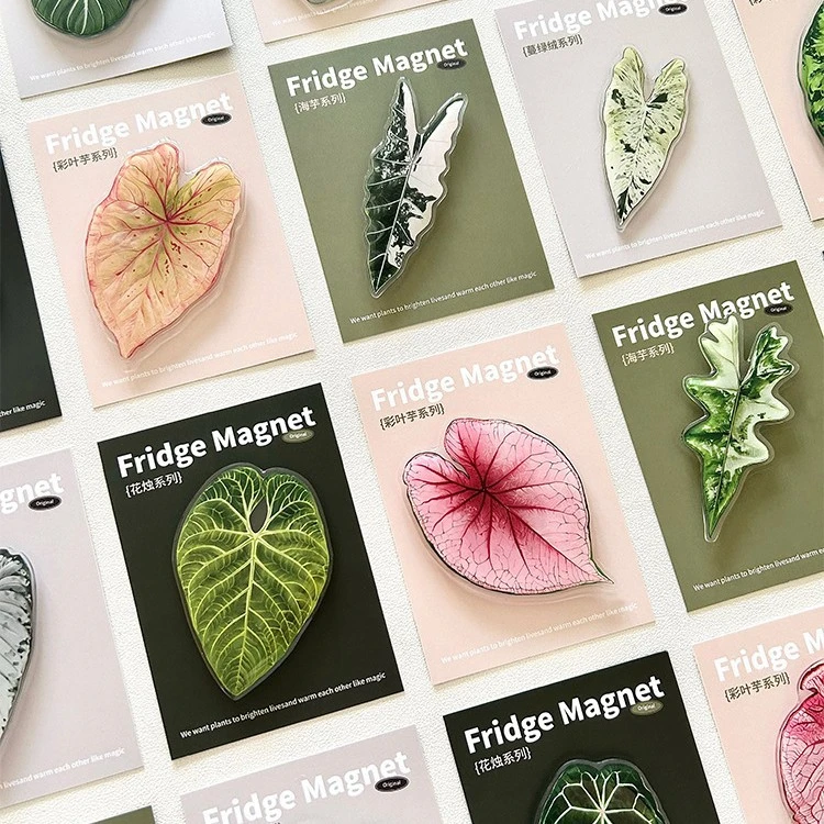 热带珍稀植物原创设计创意绿植冰箱贴装饰家居