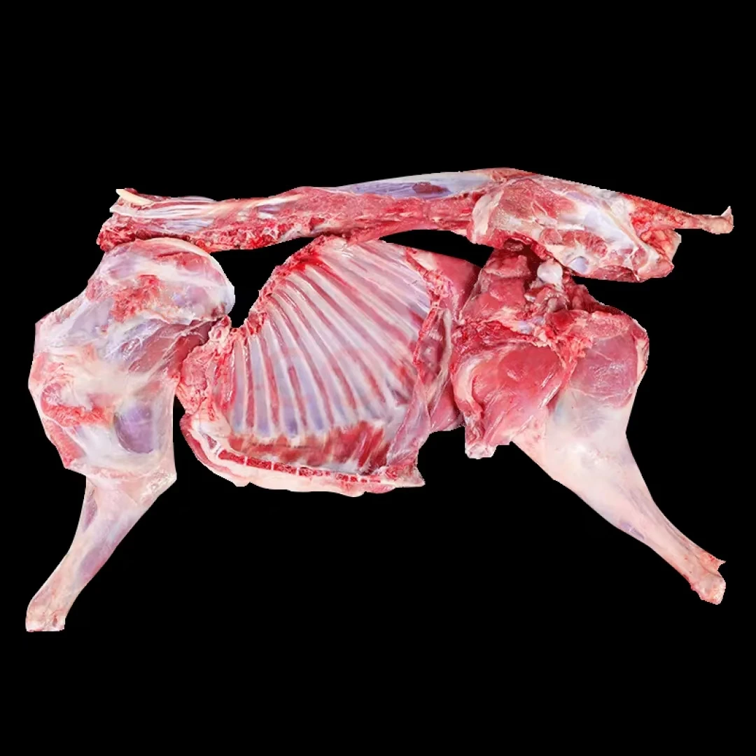 甘肃盐碱地散养3个月小羊羔肉半羊/切块80%腿排12-14斤优级现宰